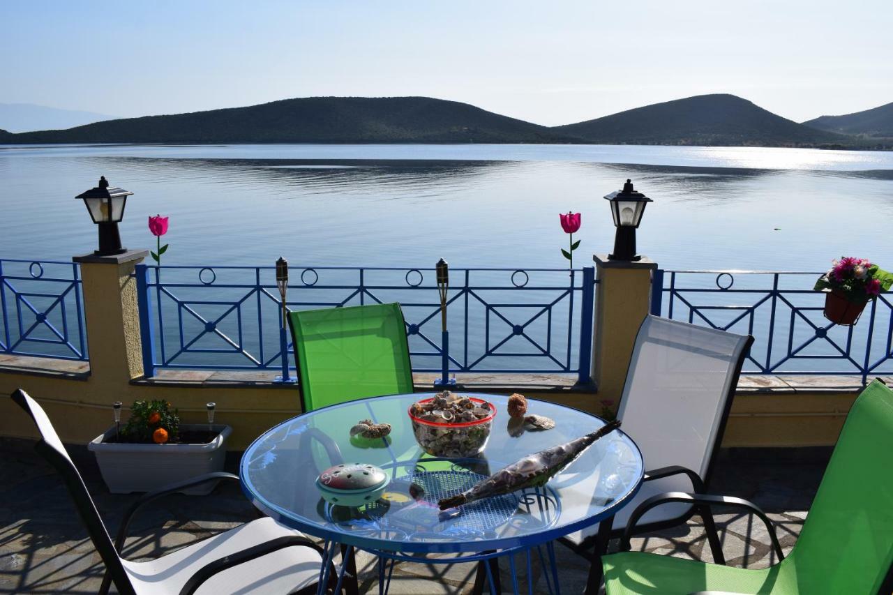 Villa Dimitris Constantinou Sourpi Esterno foto